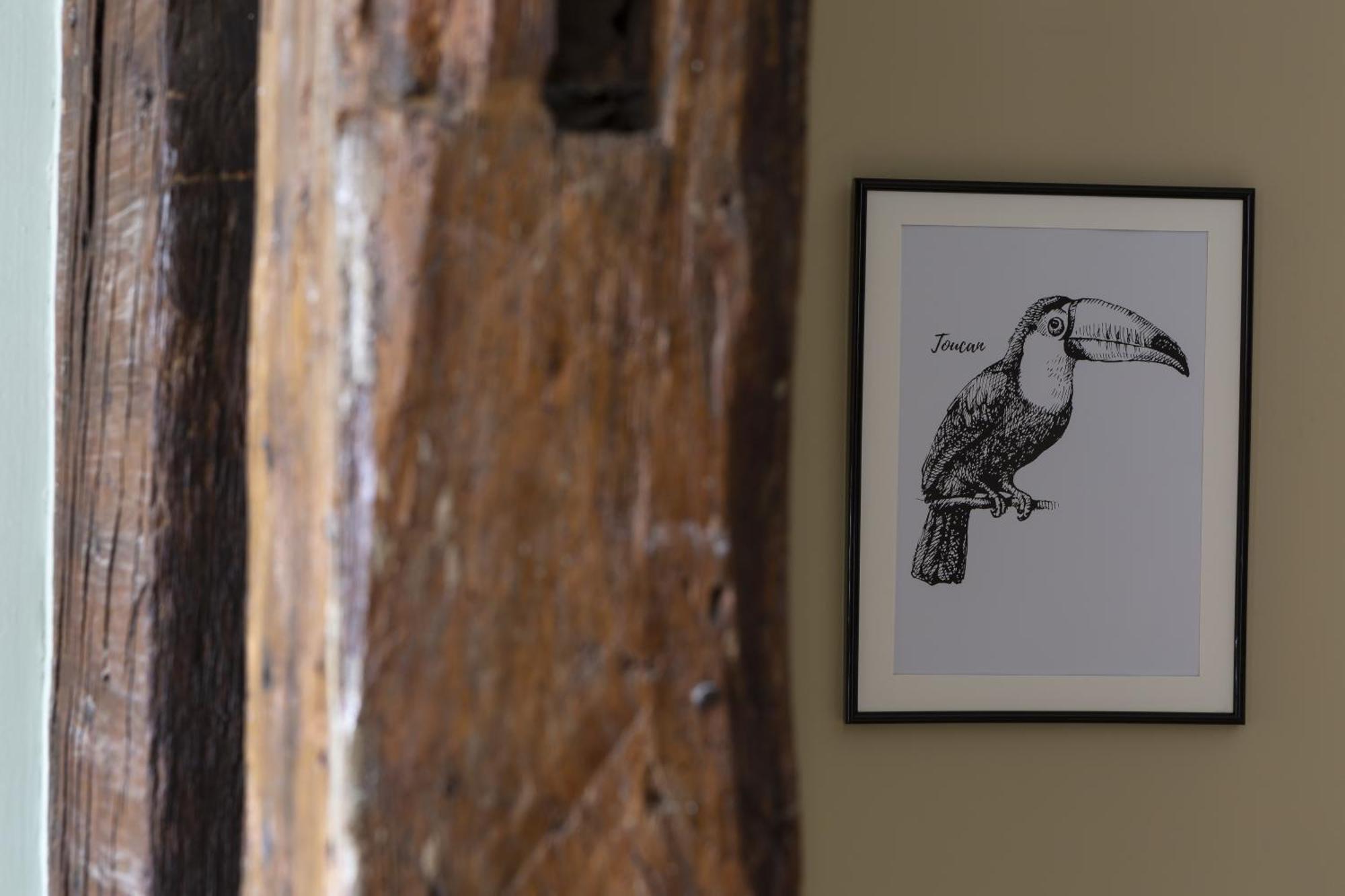 Le Toucan By Cocoonr Rennes Bagian luar foto
