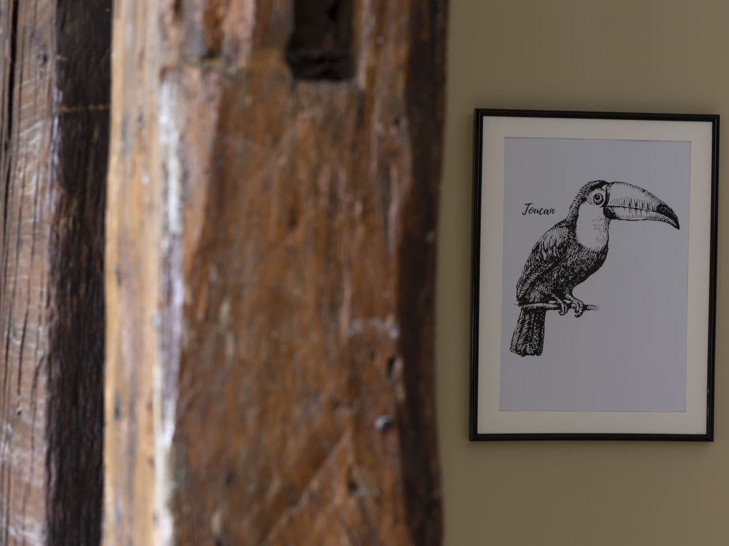 Le Toucan By Cocoonr Rennes Bagian luar foto